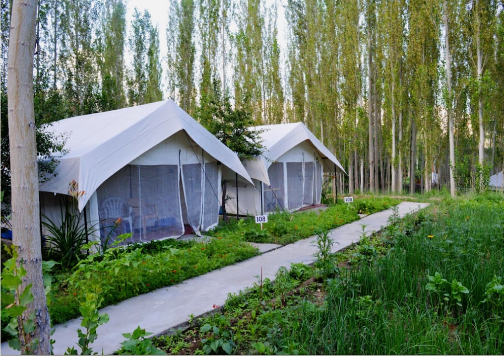 TIH Mystique Meadows Camp