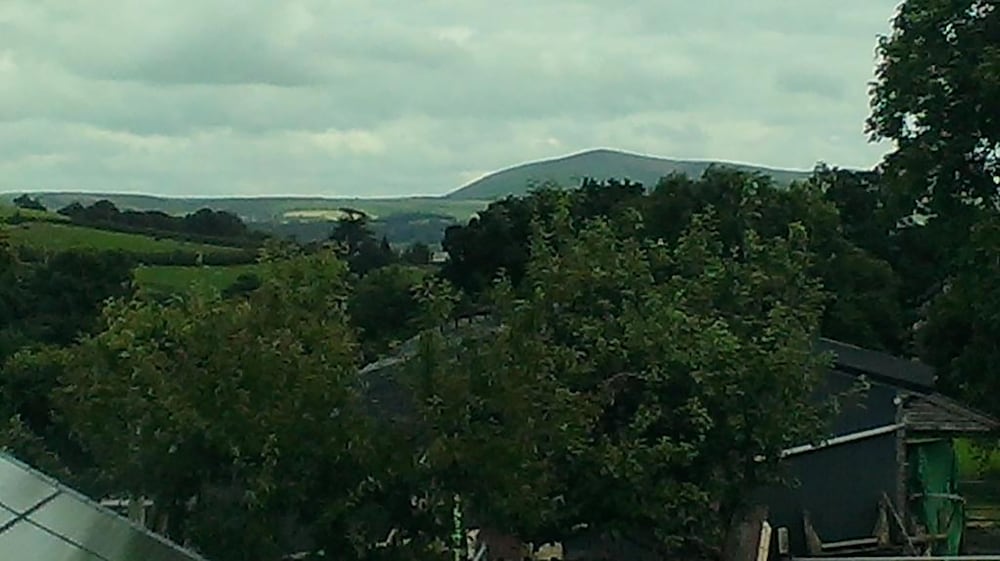 Top House
