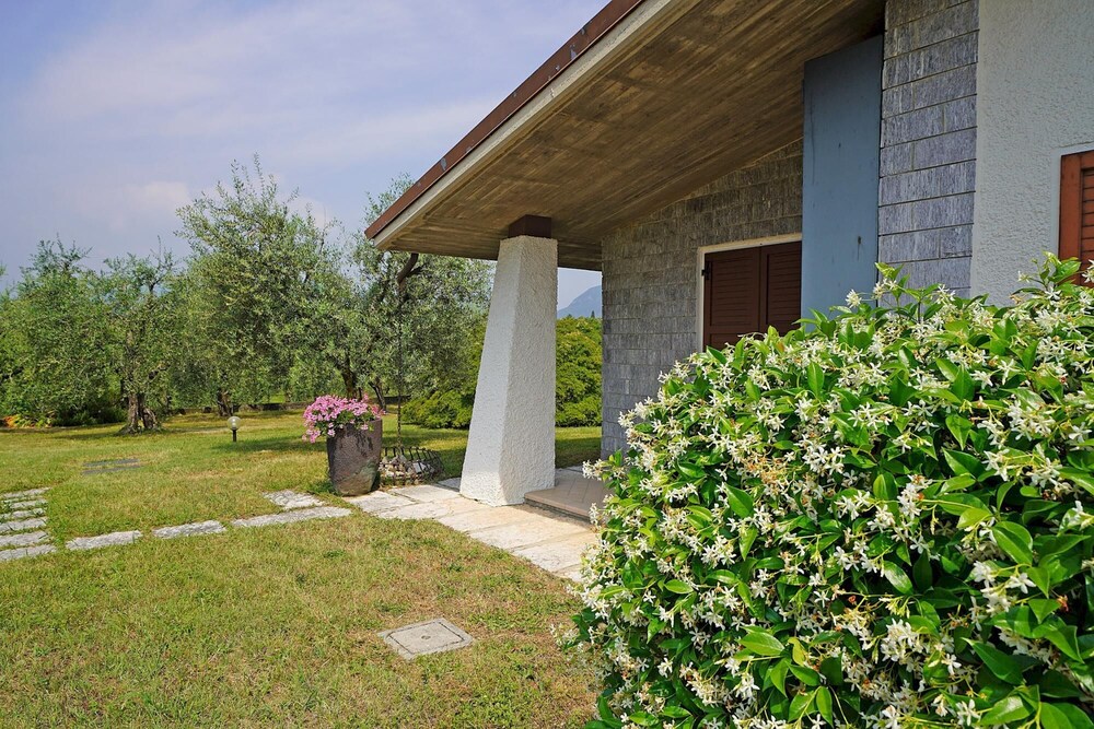 Photo 31