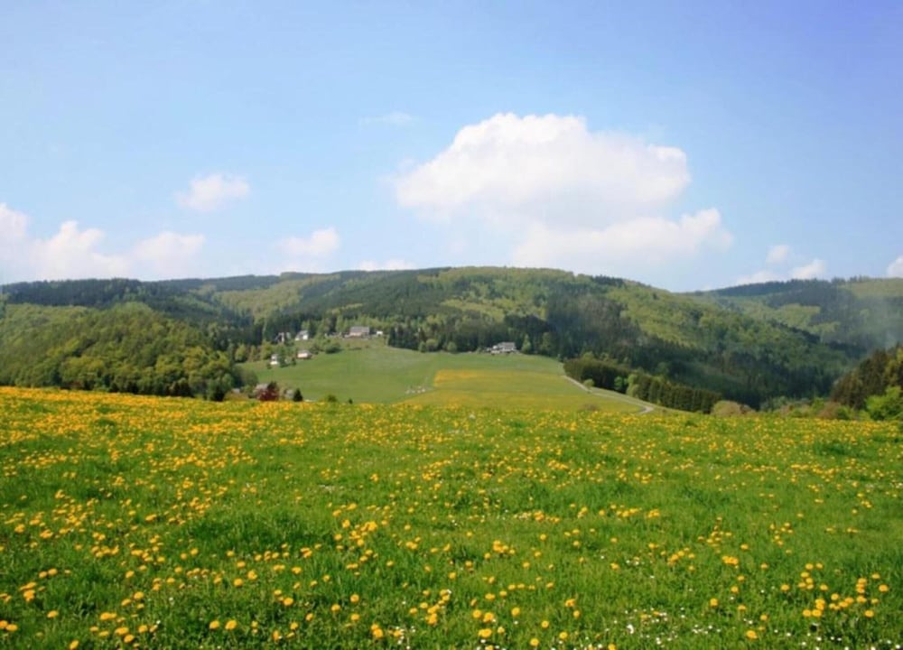 Appartementen Am Forstweg Yalet