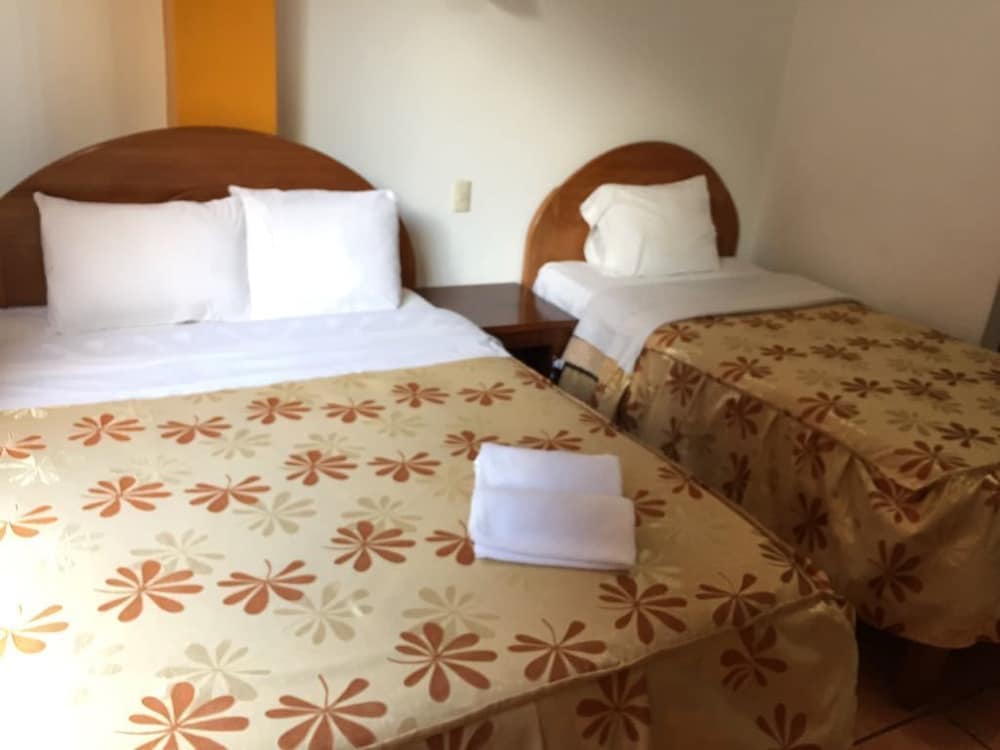 Hostal Bromelias 2