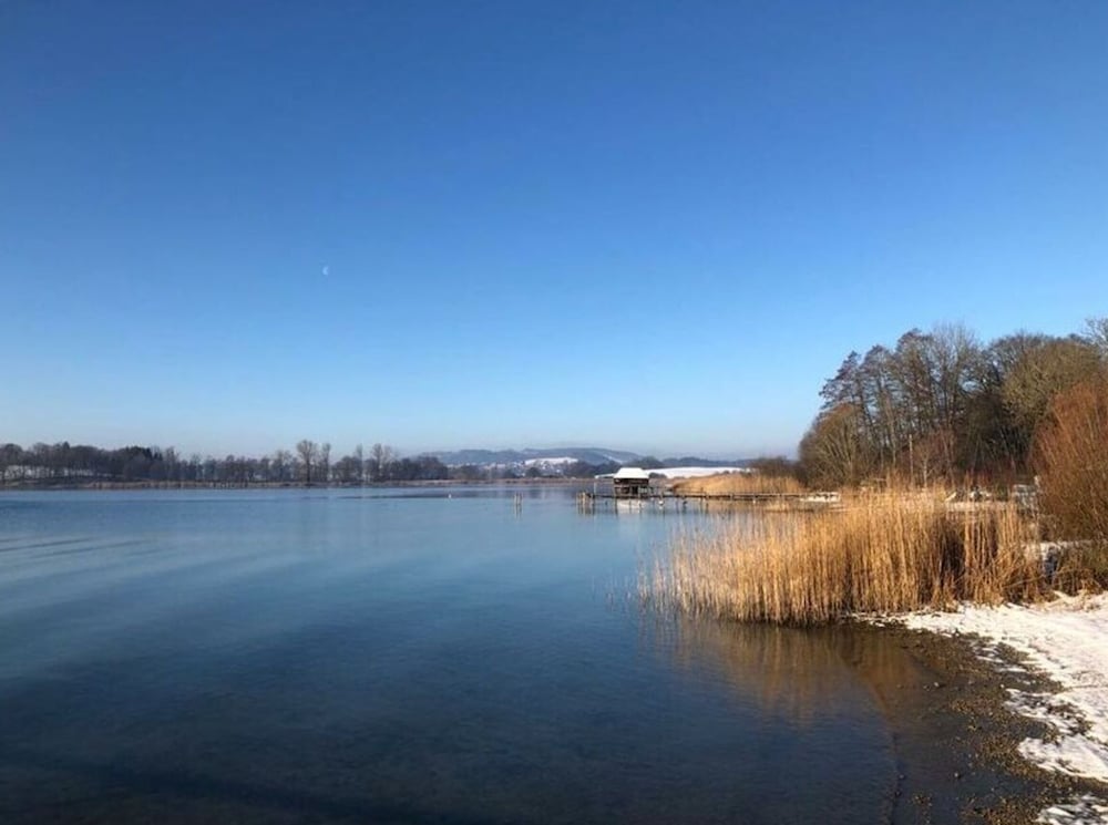 Dennenboomdroom