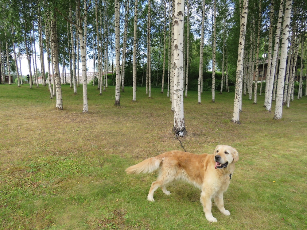 Tahko-Tours