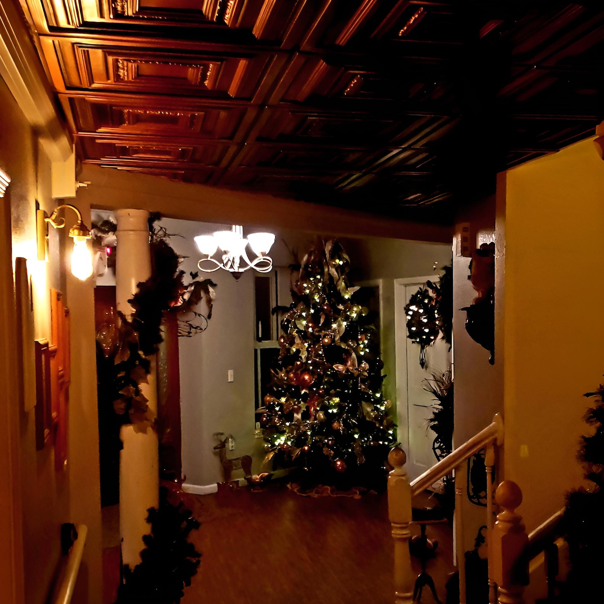Ely Manor view 4