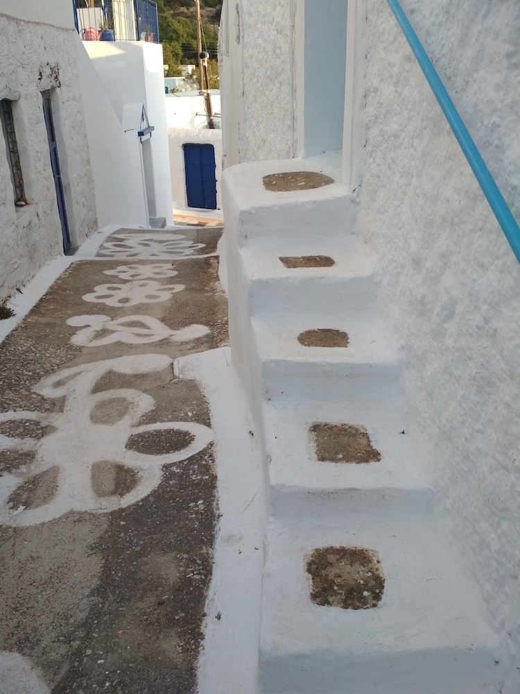 Photo 43