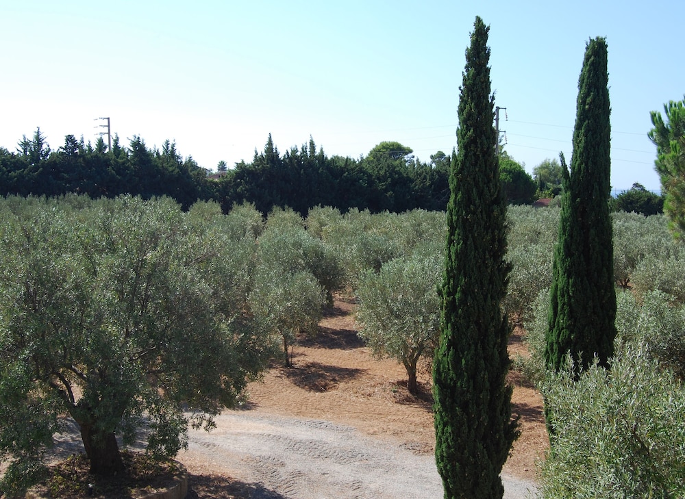 Fattoria il Borghetto