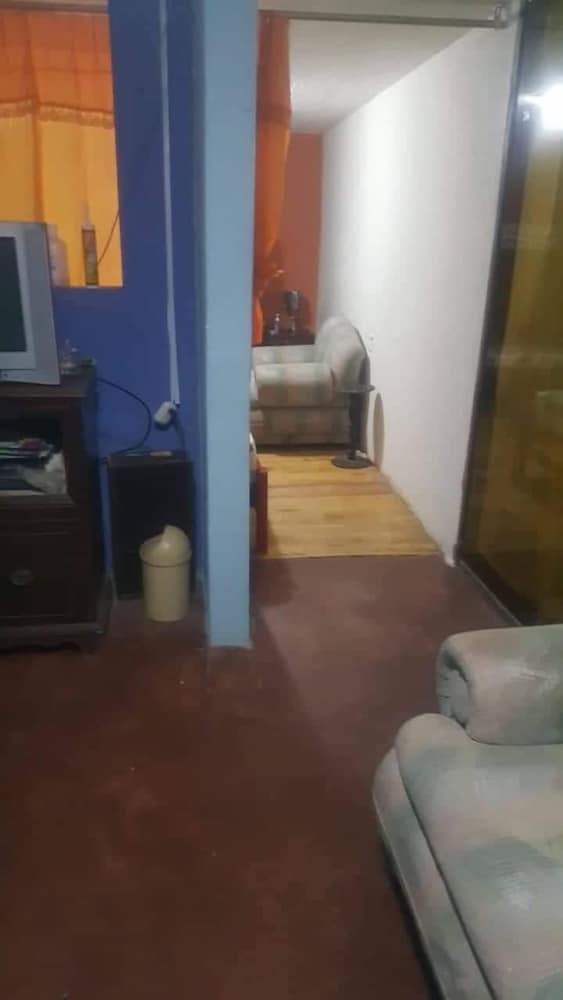 Bio Bamboo Bed and Breakfast view 3