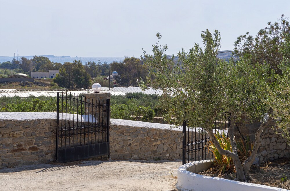 Theodora's Suite view 5