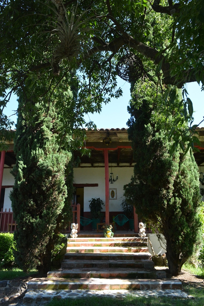 FINCA REAL SAN JOSE