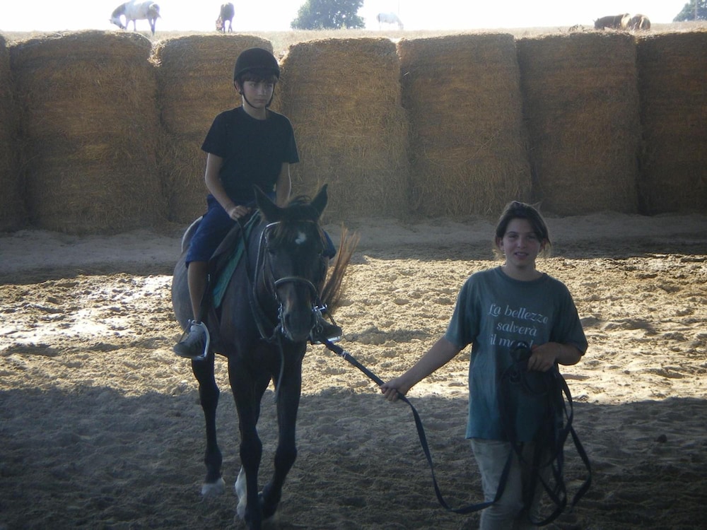 Photo 48