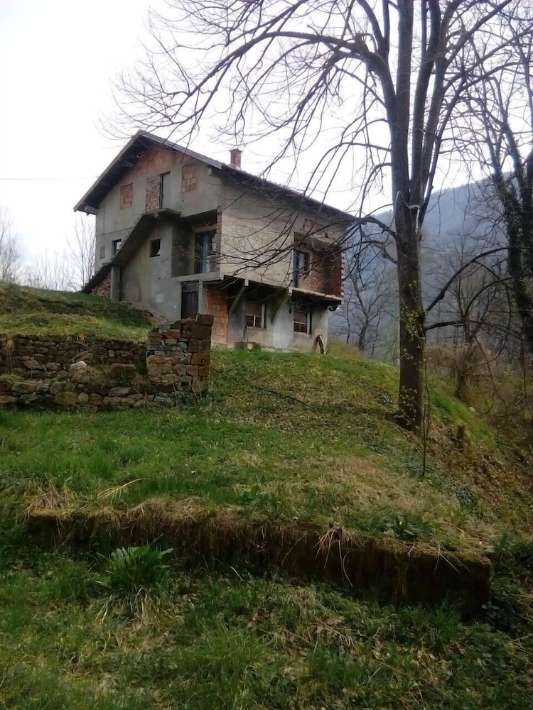 Apartments Dina