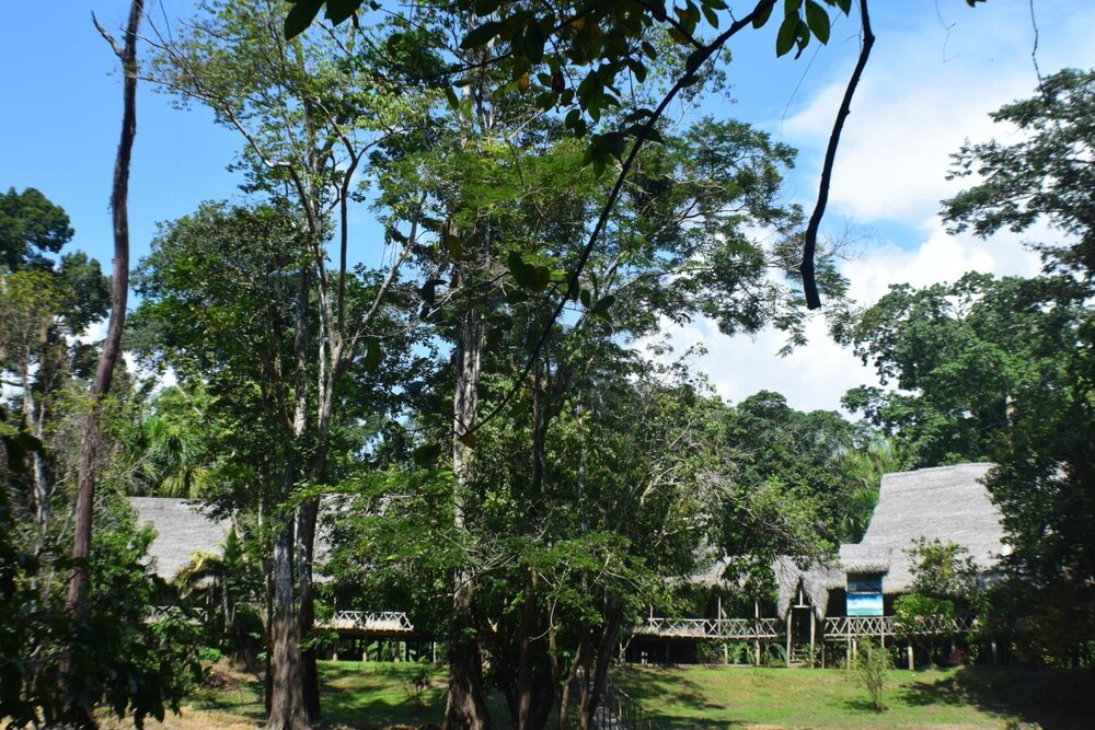 Jungle Wolf Expeditions