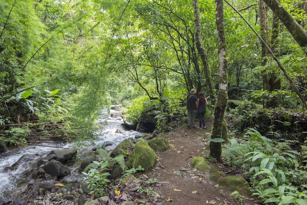 Bosque de Paz