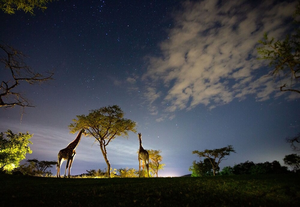 Muluwa Lodge