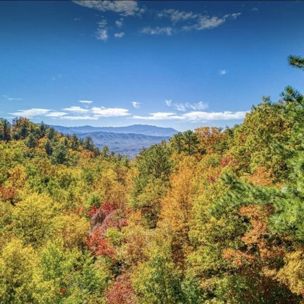 NEW Haven Peaceful Retreat Gorgeous Views Pool view 2