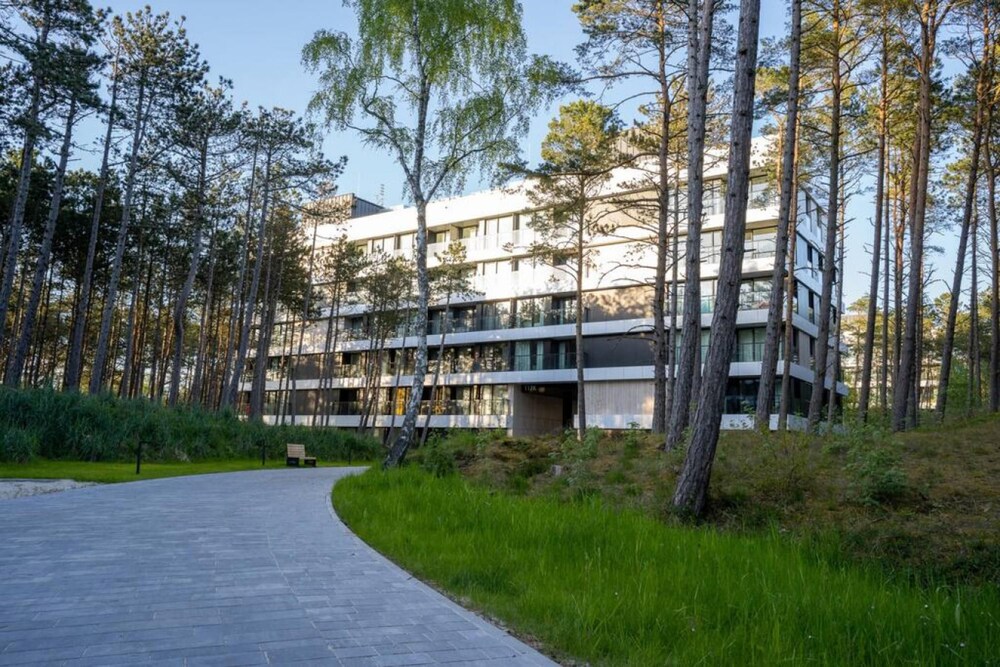 Art Forrest 33 M in Rogowo