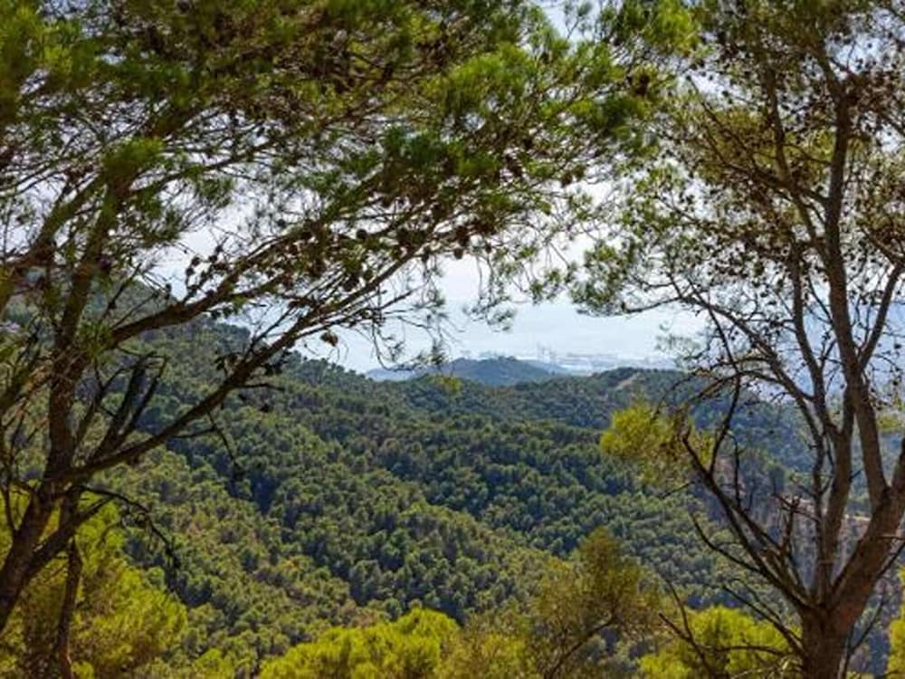 Andalusian Farmhouse for Workshops, Retreats or Events