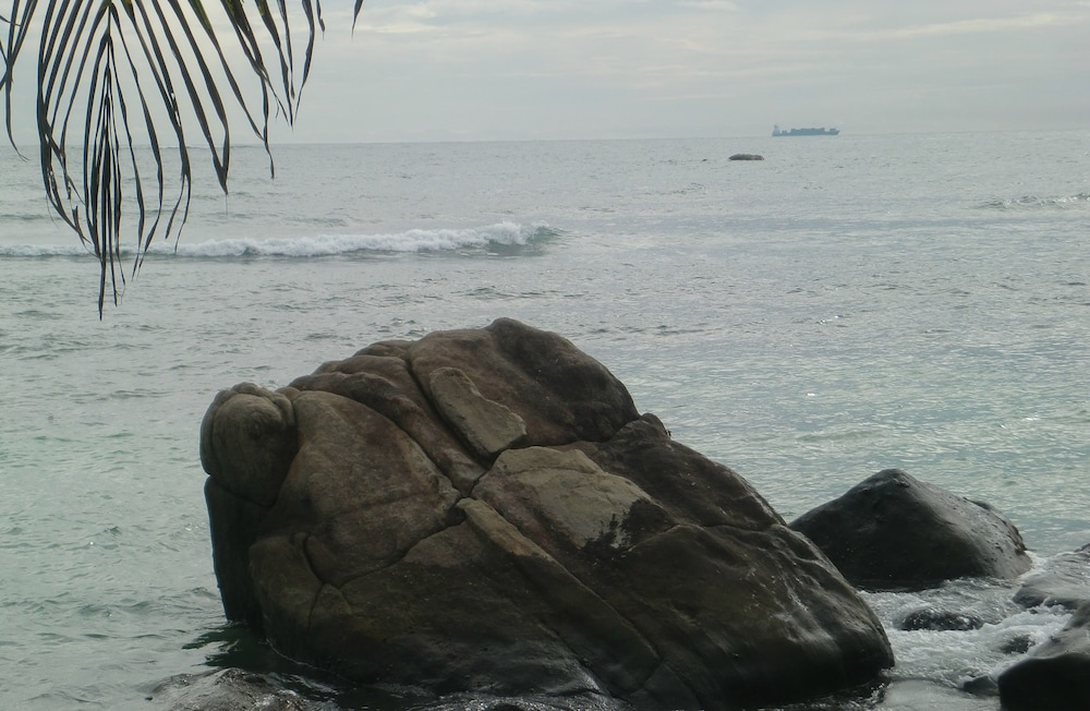 Photo 11