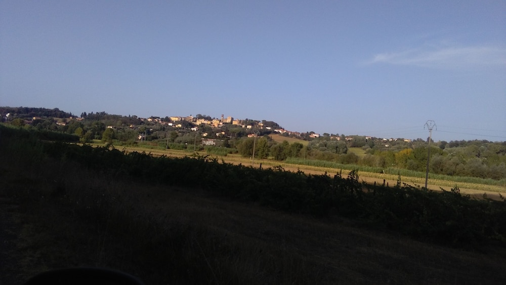 Photo 31