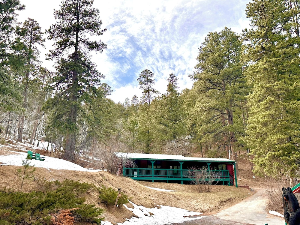 Ponderosa Pines