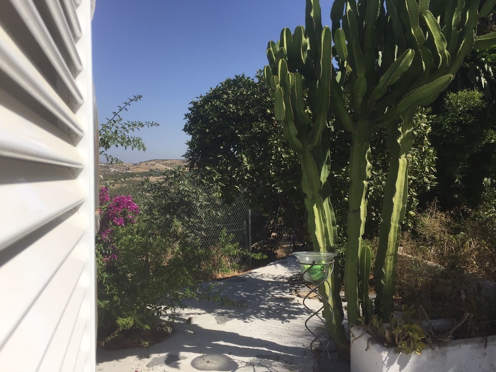B&B Cortijo Andaluz