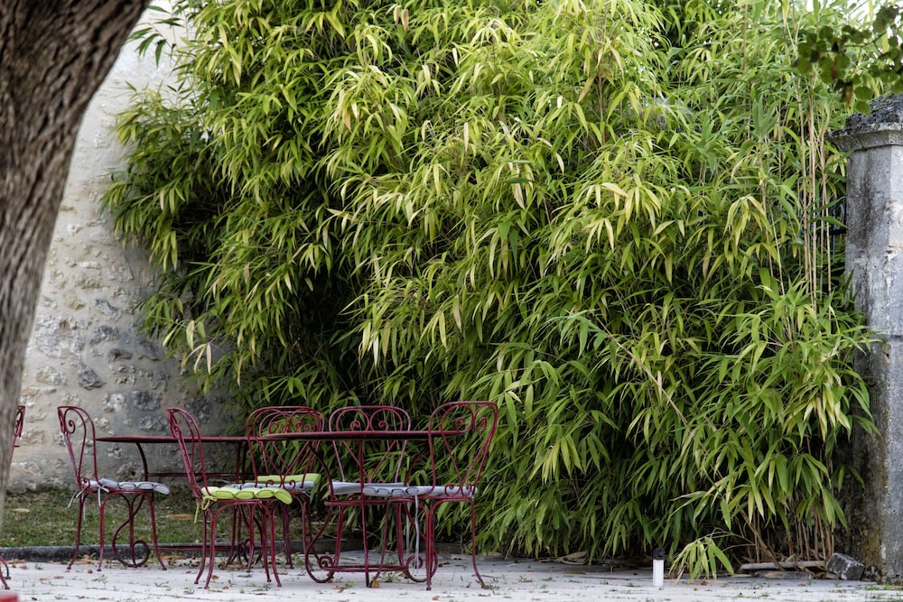 Les Deux Abbesses en Vert