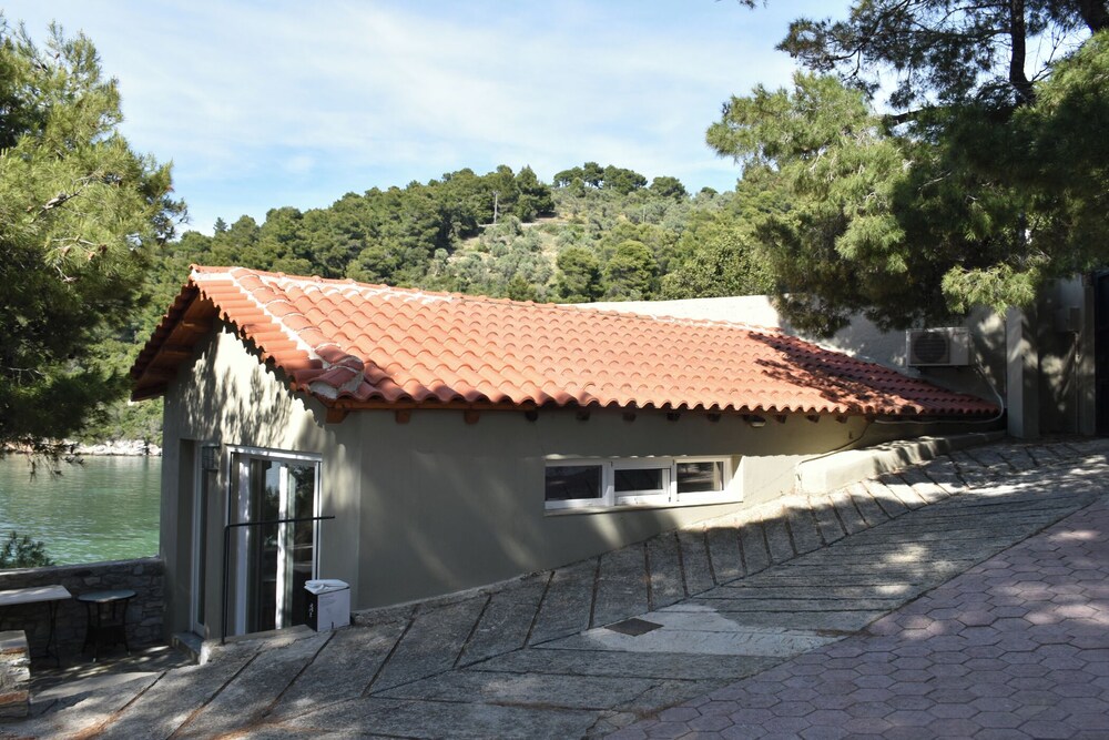 Photo 10
