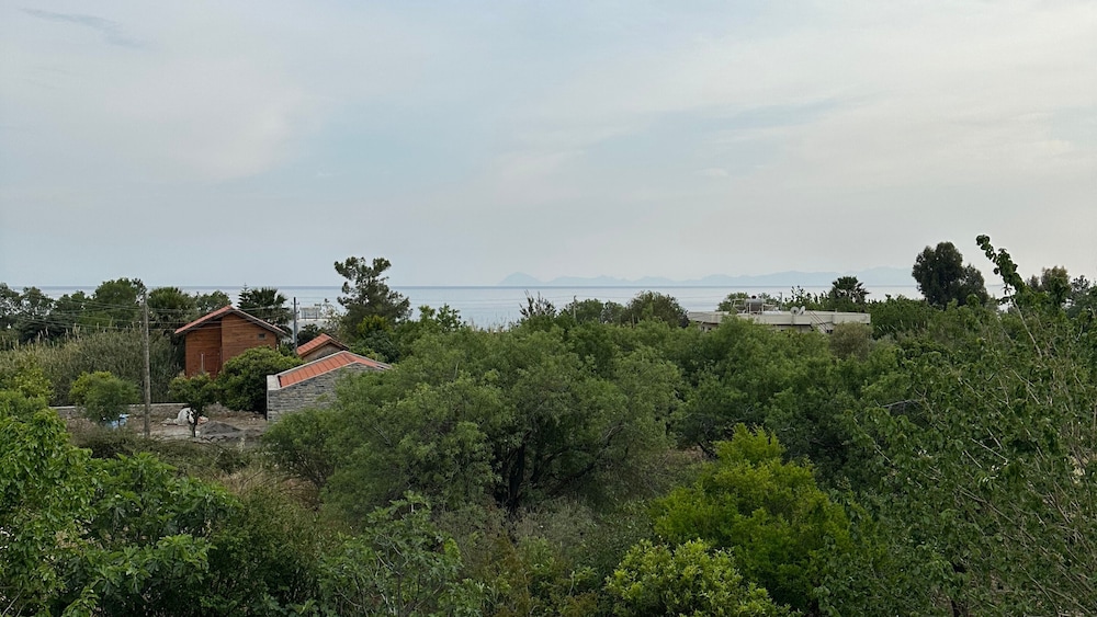 Photo 31