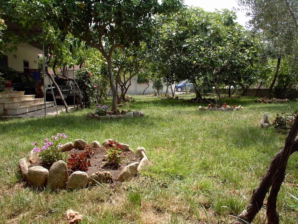 Photo 8