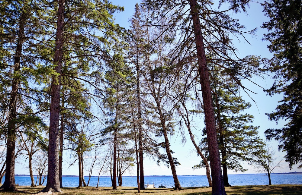 Ruttger's Birchmont Lodge