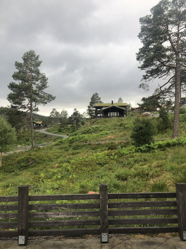 Photo 19