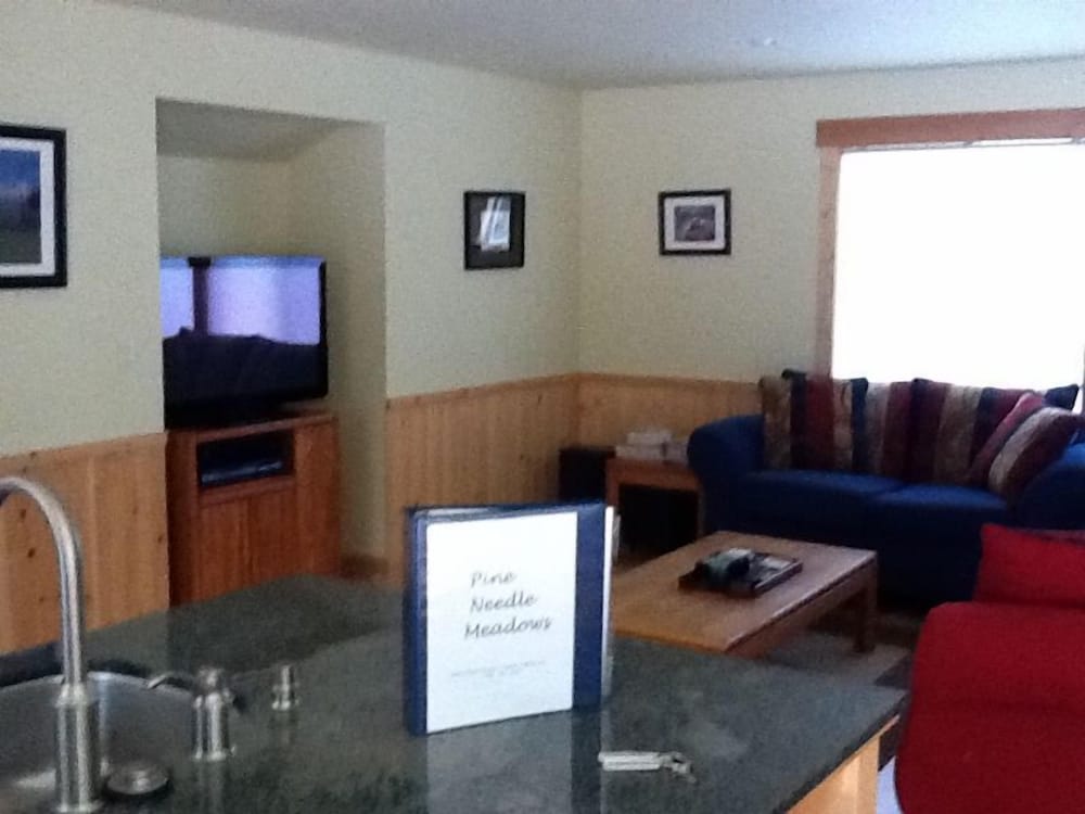 Lake Tahoe Vacations - Pine Needle Meadows - Property Image 1