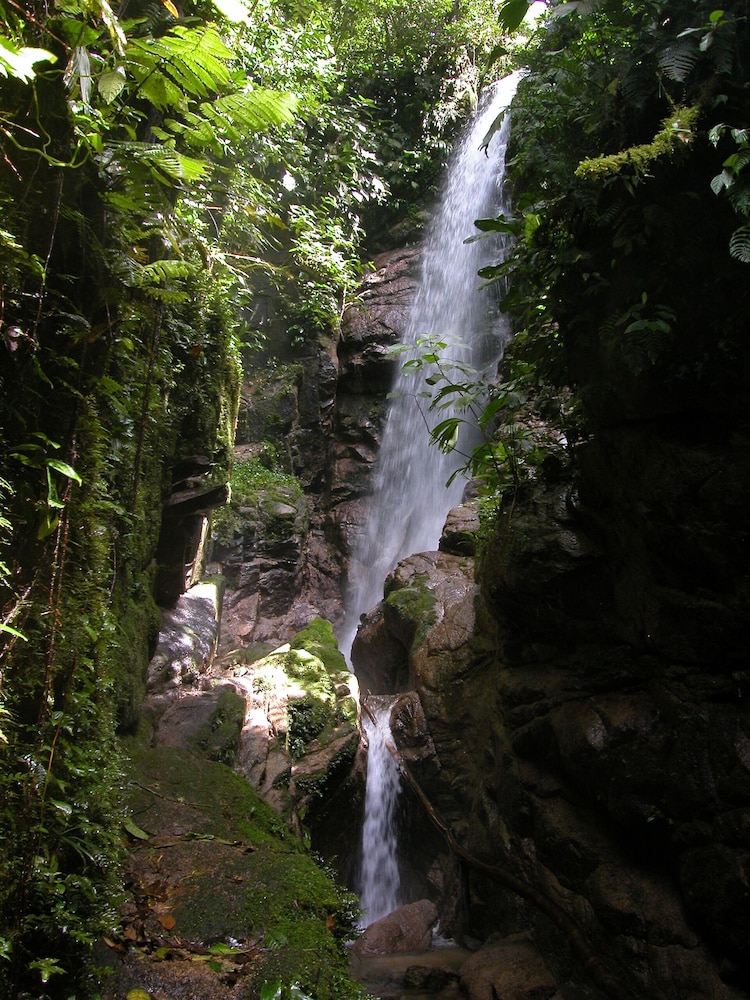 Grand Selva Lodge & Tours