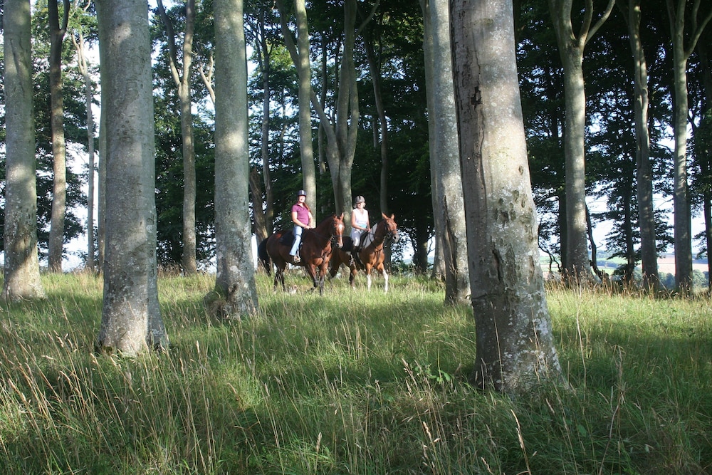 Hollamoor Farm B&B