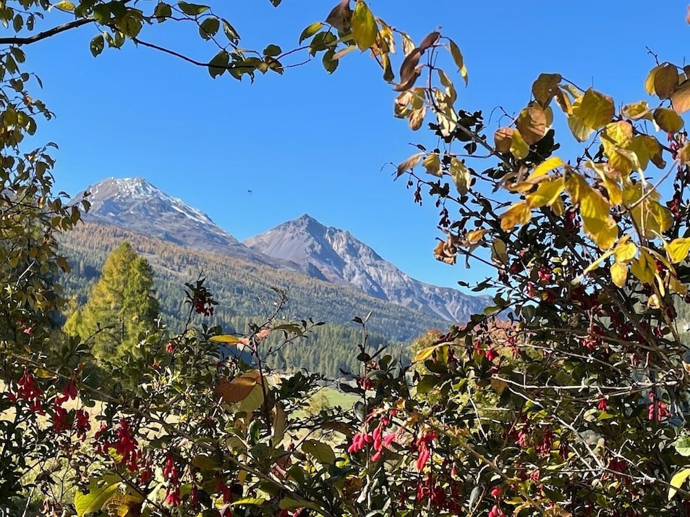 Villa Stelvio Bed & Breakfast