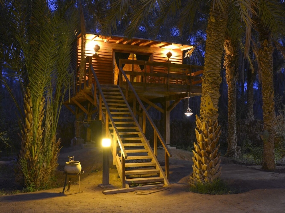 Tozeur Vacations - Hotel Diar Abou Habibi - Property Image 5