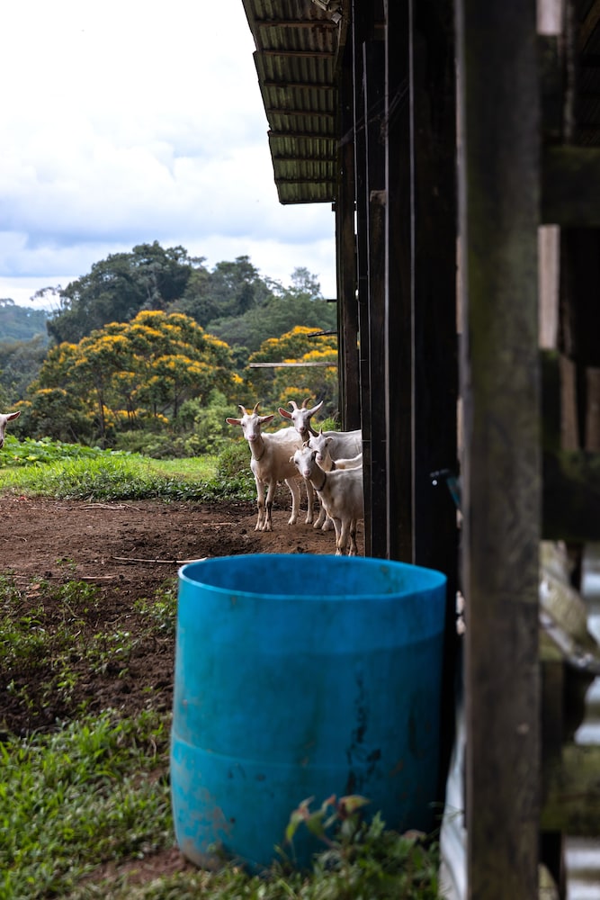 La Finca Azul