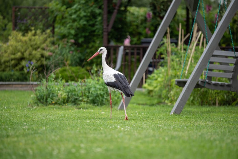Comfortable Holiday Homes for 4 People.-formerly TUI Ferienhaus
