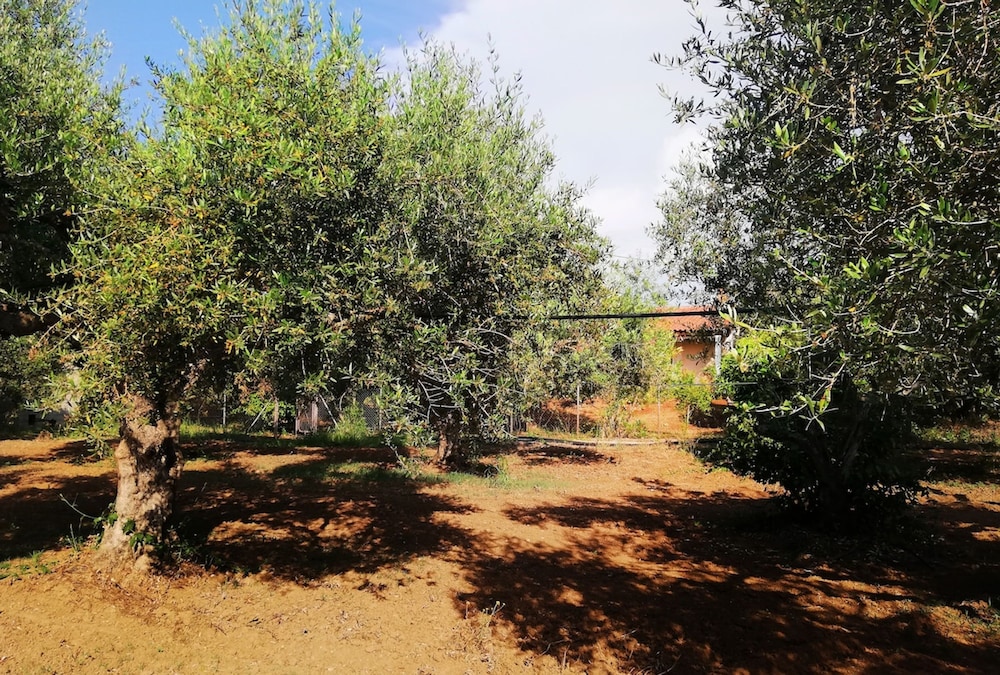Agrilis Cottage Near the Beach