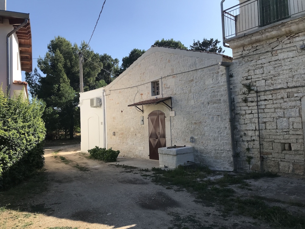 Photo 21