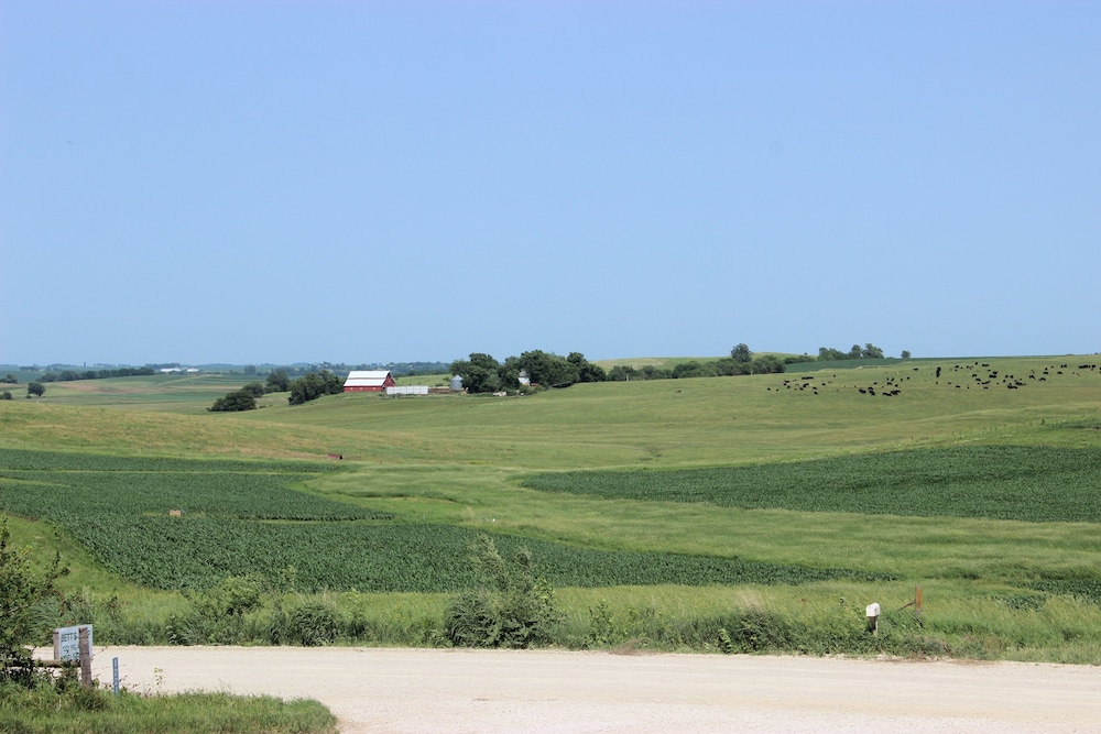 Whiterock Conservancy - Property Image 46