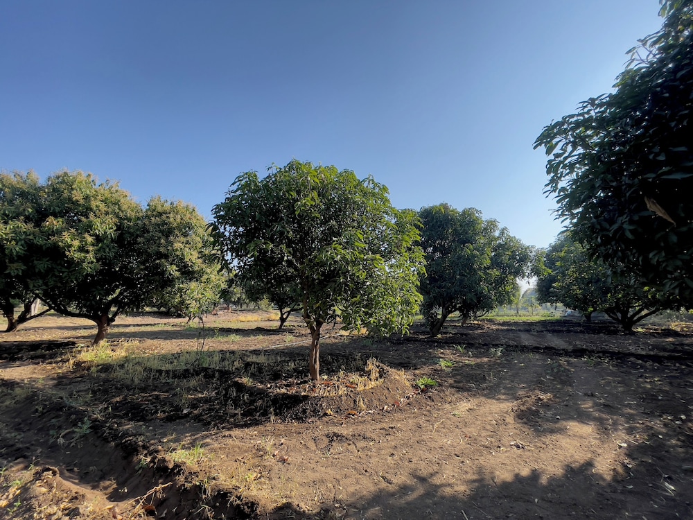 Fulgulab Lawns & Homestays