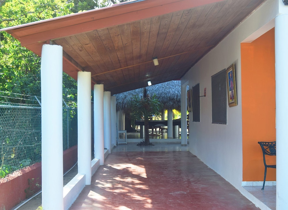 Photo 19