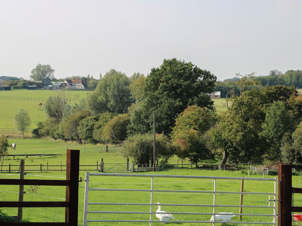 Flink's Barn