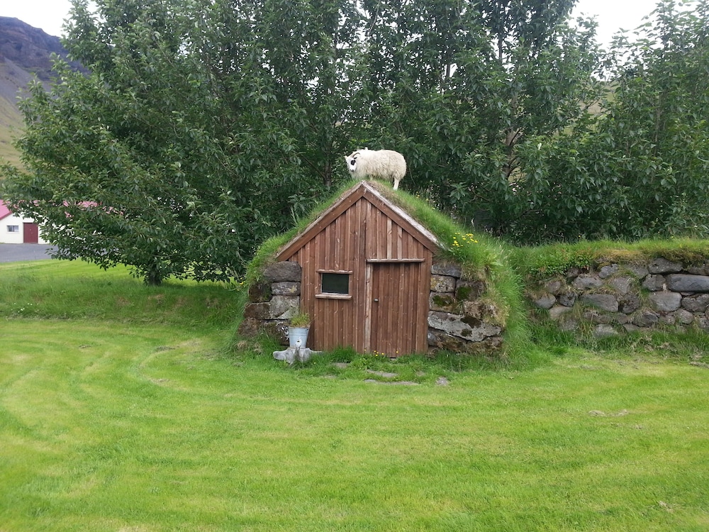 Ásólfsskáli Cottage