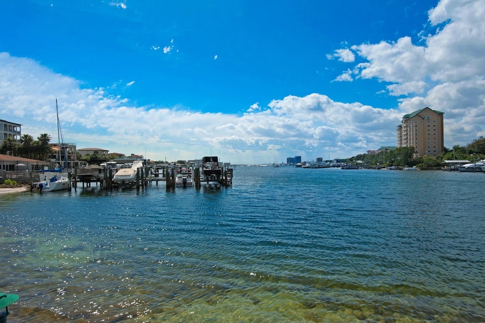Dolphin Point #401c