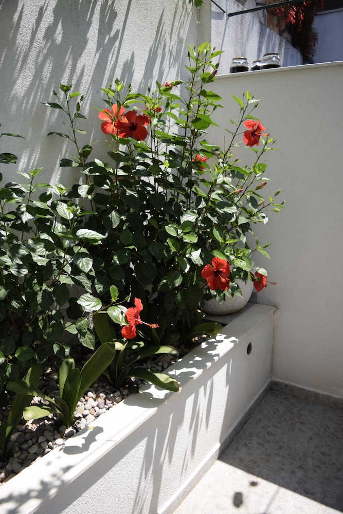 Jele Rooms