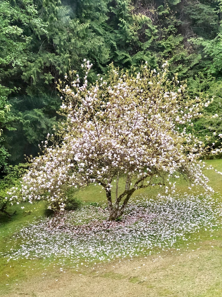 Davis Brook Retreat