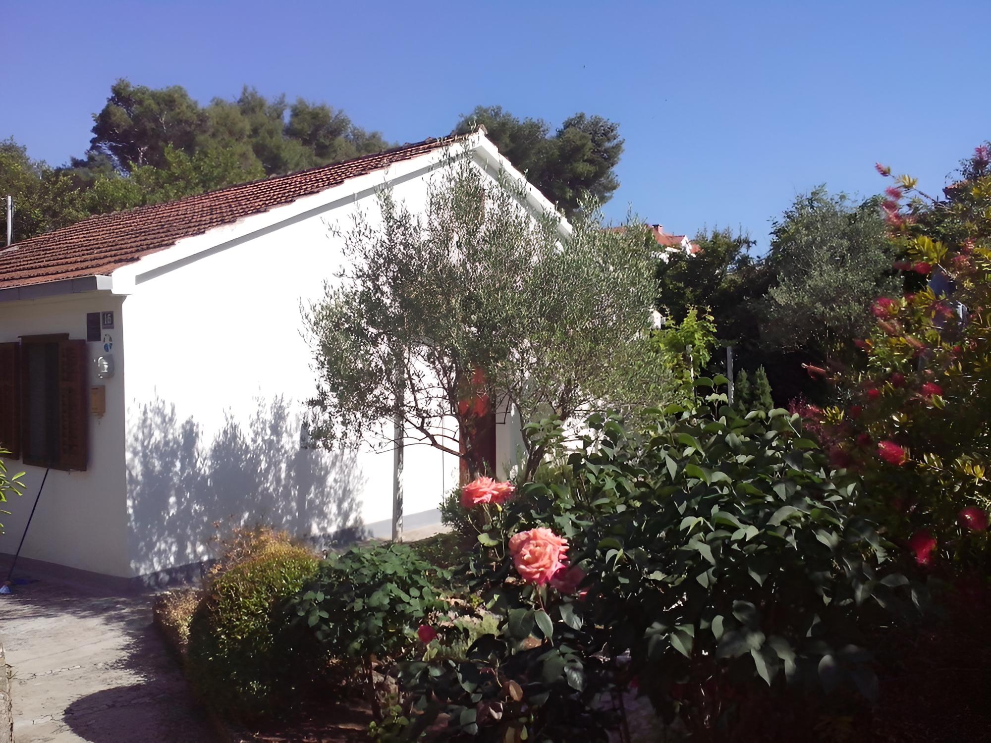 Neda - 80m From the sea - A1 view 2