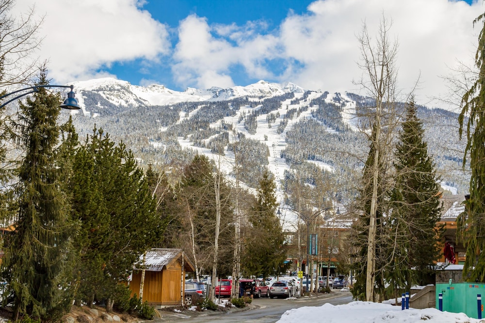 Fabulous Location Private Hot Tub, NO Car Needed, Sleeps 8 - Image 5